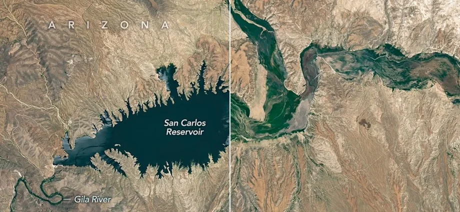 arizona-reservoir-nearly-vanishes-after-snowpack-collapse-triggers-massive-fish-kill