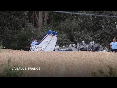 founder-of-global-gaming-company-ubisoft-killed-in-plane-crash-in-france