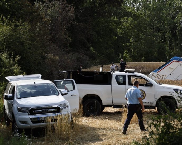 a-founder-of-assassin’s-creed-maker-ubisoft-killed-in-a-plane-crash-in-western-france