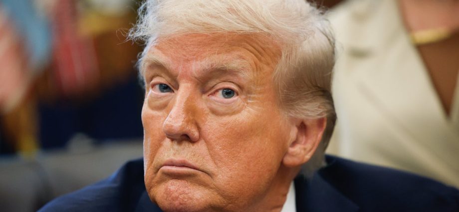 cnn-fact-checker-spots-the-traitor-trend-after-latest-lie:-‘nobody-should-be-shocked’