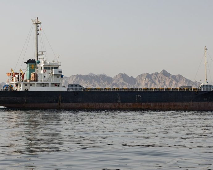 us.-forces-monitoring-strait-of-hormuz-to-ensure-it-stays-open