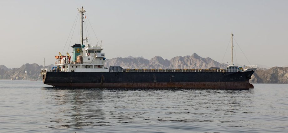 us.-forces-monitoring-strait-of-hormuz-to-ensure-it-stays-open