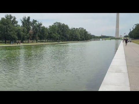 the-traitor:-‘multiple-arrests’-at-lincoln-memorial-reflecting-pool-|-morning-in-america