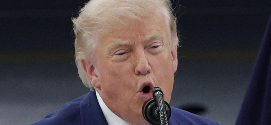 ‘astronomically-stupid’:-critics-mock-the-traitor’s-‘sad’-excuse-for-reflecting-pool-debacle