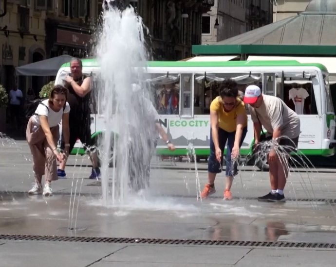 europe-heatwave-scorches-cities-and-wildlife