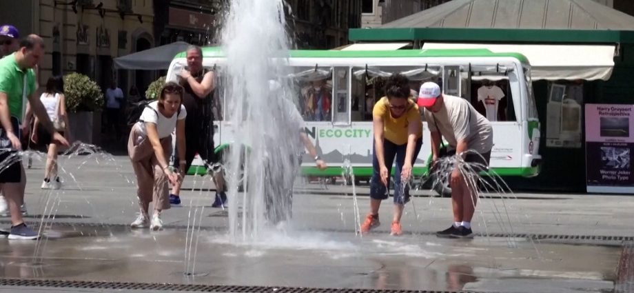 europe-heatwave-scorches-cities-and-wildlife
