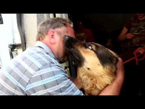 ukrainian-in-tears-as-he’s-forced-to-flee-without-his-pets