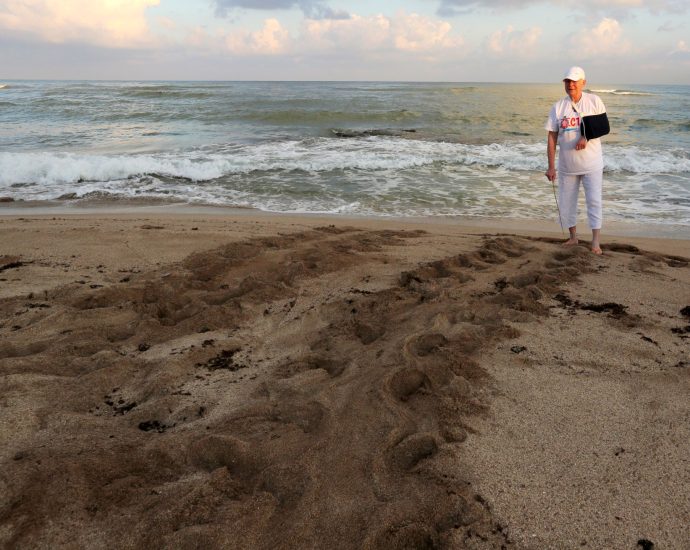 mourners-gather-to-remember-lebanese-conservationist-killed-by-israel