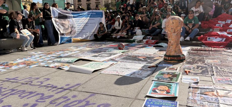 guadalajara-protesters-accuse-hyundai-of-using-world-cup-to-hide-‘dirty-supply-chain’