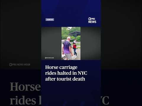 horse-carriage-rides-halted-in-nyc-after-tourist-death