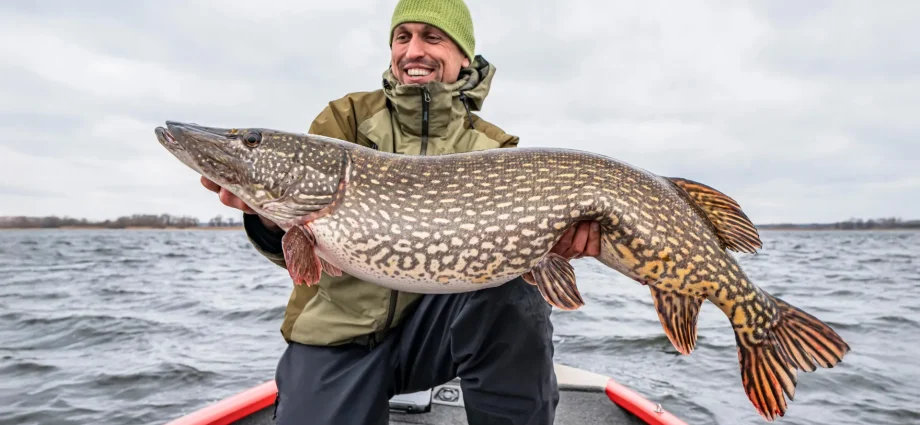 as-lakes-turn-brown,-trout-and-bass-decline-while-pike-and-walleye-thrive