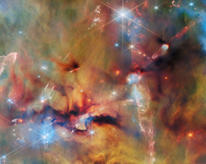 James Webb telescope finds a cosmic cloud of creation buried in the Sword of Orion — Space photo of the week