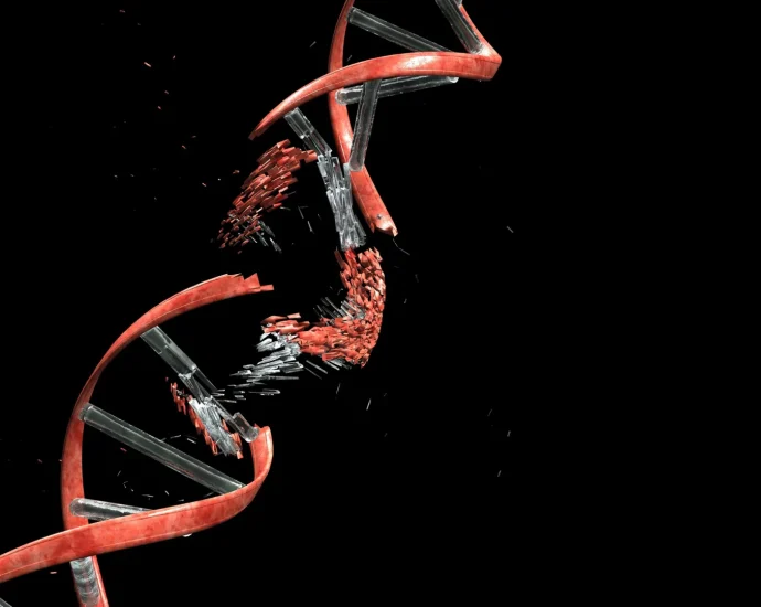 Scientists discover neurons must break their DNA to build the brain