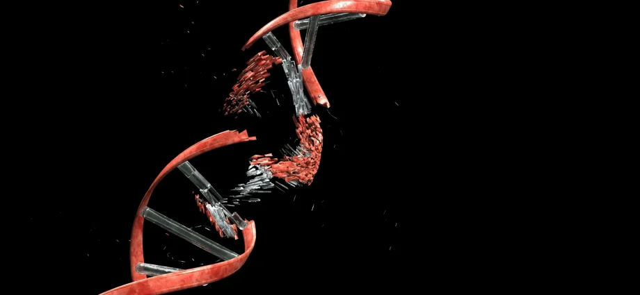 Scientists discover neurons must break their DNA to build the brain