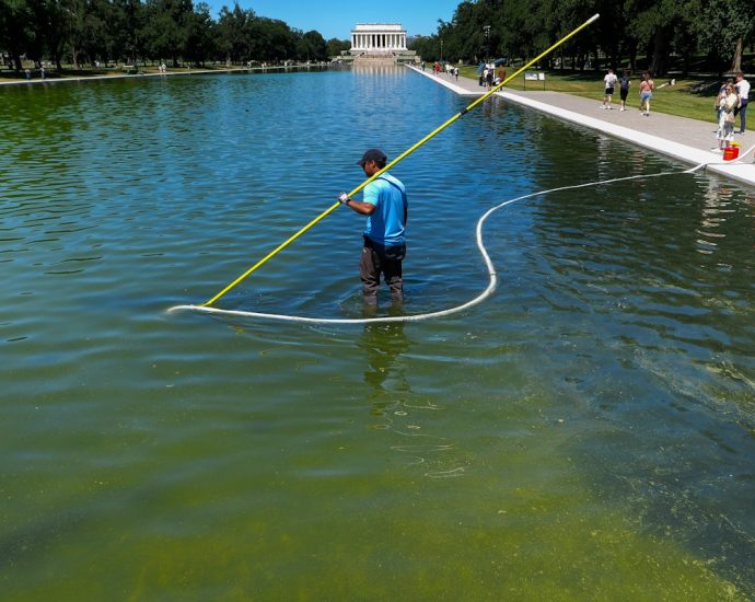 utterly-absurd-contractor-behind-reflecting-pool-renovation-disaster
