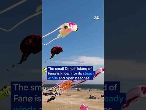 25,000-kites-fly-at-world’s-largest-kite-festival-|-dw-news