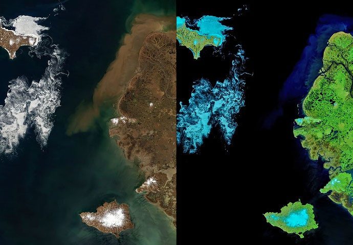 signs-of-thaw-in-the-bering-sea