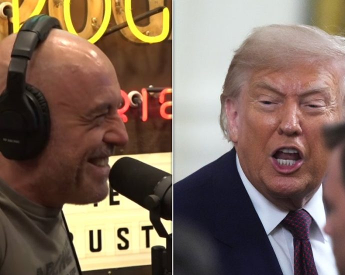 joe-rogan-loses-it-over-the-traitor’s-response-to-possible-terrorist-attack-at-white-house-ufc-fight