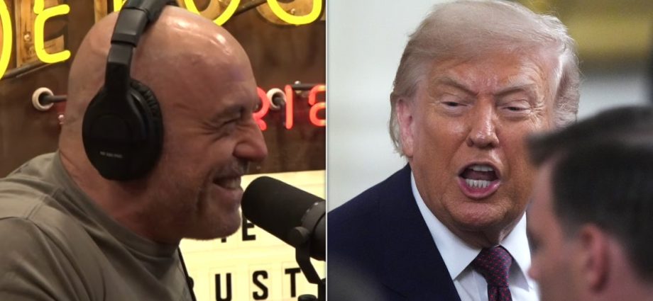joe-rogan-loses-it-over-the-traitor’s-response-to-possible-terrorist-attack-at-white-house-ufc-fight