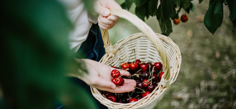 fruit-farmers-still-feeling-fallout-from-april-freeze-that-killed-their-crops