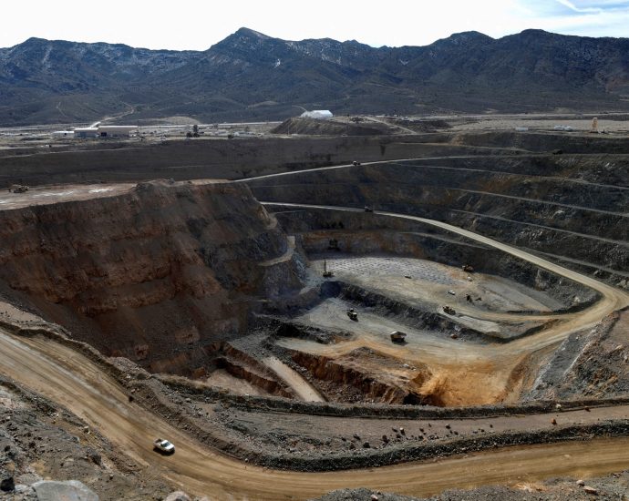 china-adds-10-us-firms,-including-rare-earth-miner,-to-export-control-list