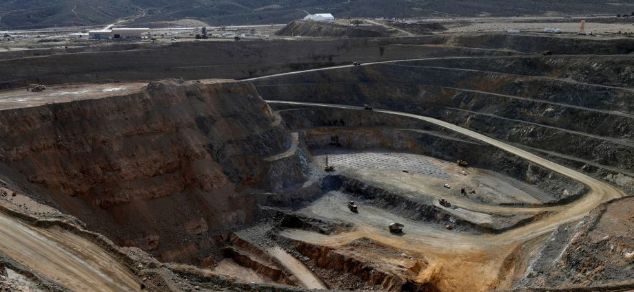 china-adds-10-us-firms,-including-rare-earth-miner,-to-export-control-list