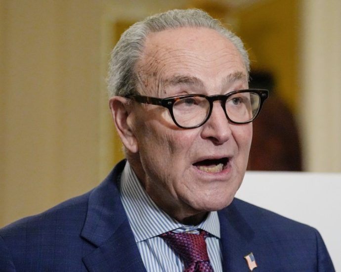 Democrats want control of Congress, but what will they actually do with it?