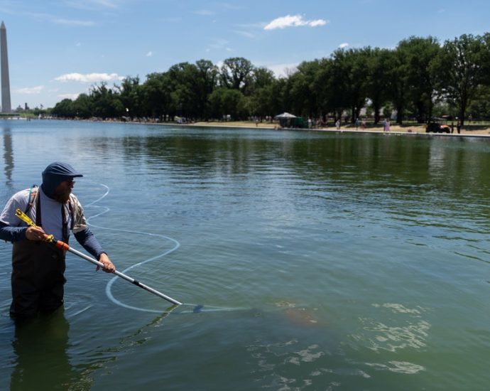 the-traitor-tries-to-blame-reflecting-pool-woes-on-vandalism,-says-it-will-likely-be-drained-again-for-repairs