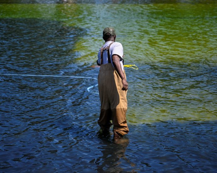 why-washington’s-reflecting-pool-has-gone-from-‘us-blue’-to-algae-green