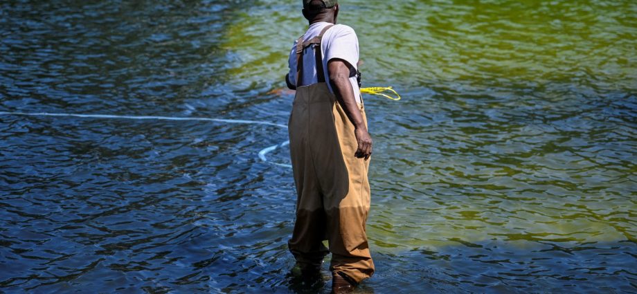 why-washington’s-reflecting-pool-has-gone-from-‘us-blue’-to-algae-green