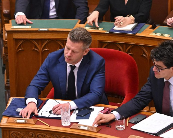 hungary’s-pm-launches-drive-to-free-country-from-orban’s-‘mafia’