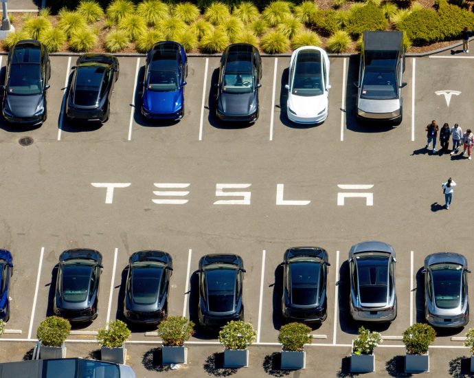 us-watchdog-opens-probe-after-tesla-crashes-into-texas-home,-killing-woman
