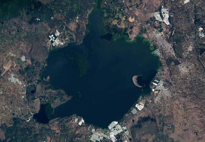 rising-waters-swamp-lake-naivasha