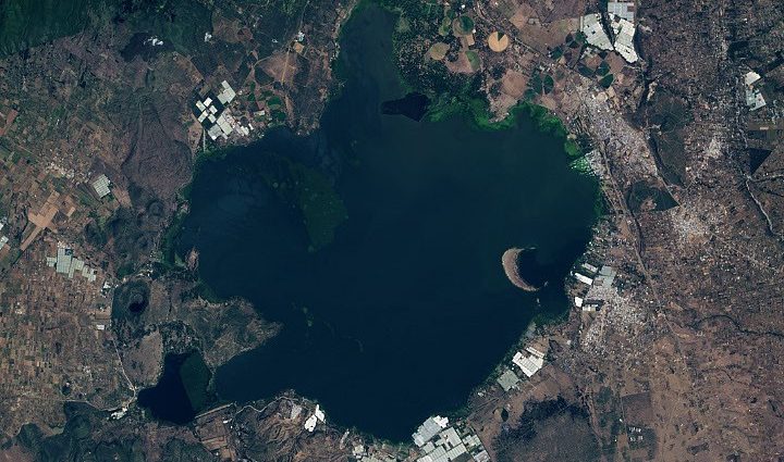 rising-waters-swamp-lake-naivasha