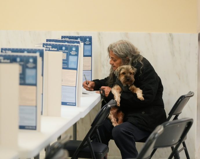 republican-linked-pacs-funding-democratic-us-primaries:-why-it-matters
