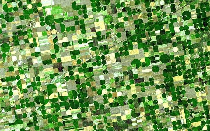 agriculture