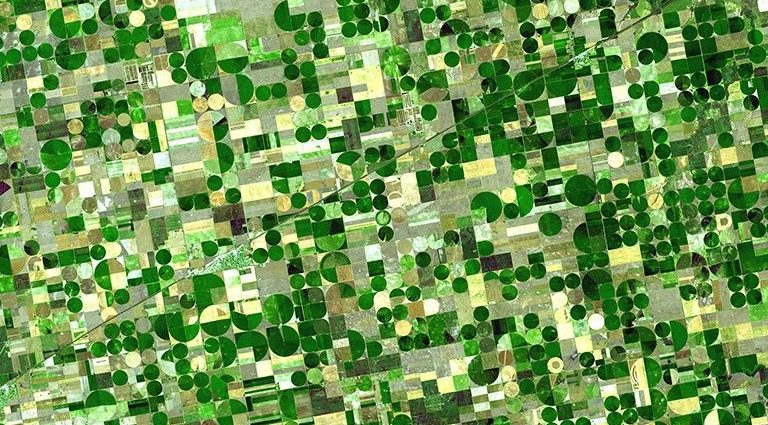 agriculture