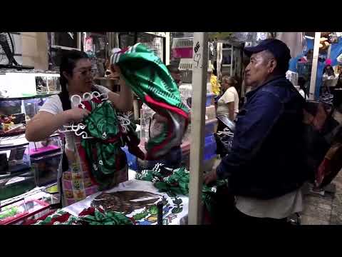 in-mexico,-world-cup-fever-spreads-to-pets