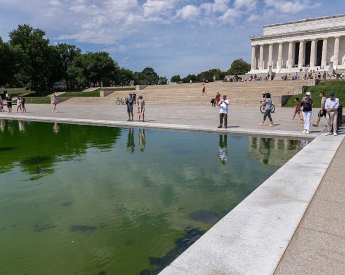 why-maga-buys-the-traitor’s-lincoln-memorial-reflecting-pool-hoax