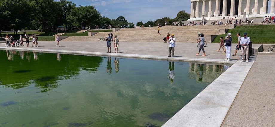 why-maga-buys-the-traitor’s-lincoln-memorial-reflecting-pool-hoax
