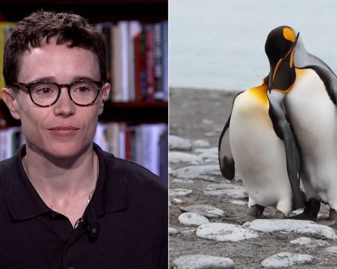 “second-nature”:-elliot-page-on-new-film-exploring-animal-world-beyond-the-binary