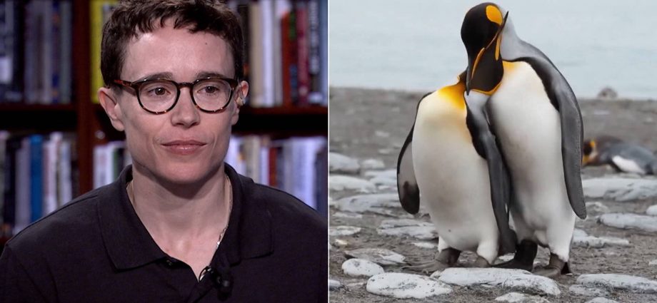 “second-nature”:-elliot-page-on-new-film-exploring-animal-world-beyond-the-binary