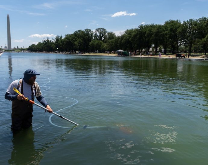 the-traitor-says-he’ll-sue-abc-over-its-reporting-on-reflecting-pool-renovations:-‘i-like-their-money’