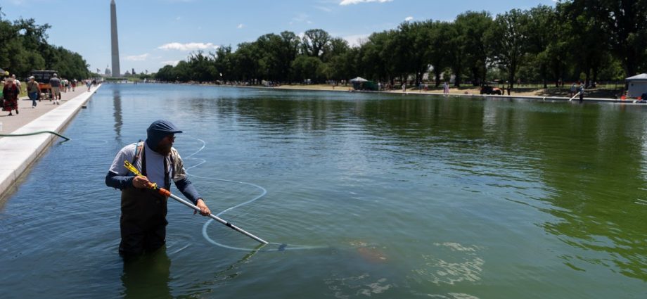 the-traitor-says-he’ll-sue-abc-over-its-reporting-on-reflecting-pool-renovations:-‘i-like-their-money’