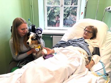 a-cancer-patient’s-cats-inspired-a-push-for-pets-in-hospice-wards
