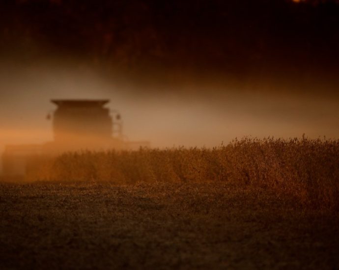 american-company-uses-robots-to-remove-pesticides-from-crops