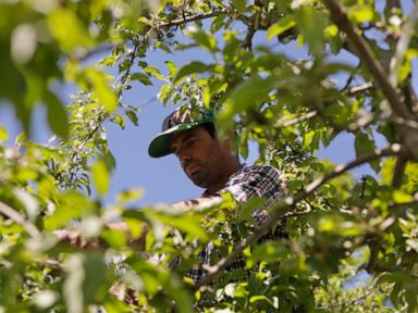vermont-is-first-state-to-ban-paraquat,-a-weed-killer-linked-to-parkinson’s-disease