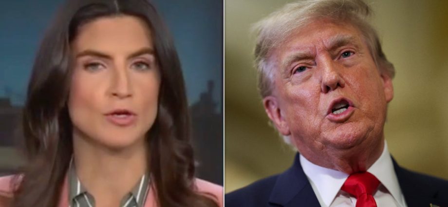 cnn-host-destroys-the-traitor’s-reflecting-pool-claim-with-brutal-receipts
