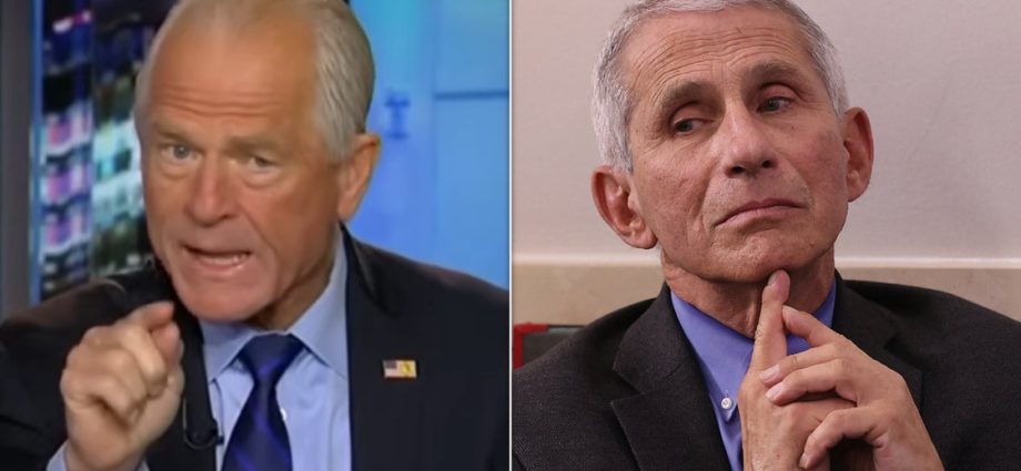 ‘you-need-to-come-clean’:-the-traitor-official-attacks-dr.-fauci-over-alleged-covid-19-scandal
