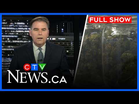 nova-scotia-introduces-new-fines-for-illegal-cannabis-i-ctv-news-atlantic-at-11:30-for-june-25,-2026